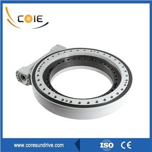 Slewing Ring Bearing